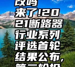 微信投票数后台能改吗   来了!2021断路器行业系列评选首轮结果公布,第二轮投票正在进行中...