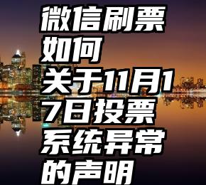 微信刷票如何   关于11月17日投票系统异常的声明