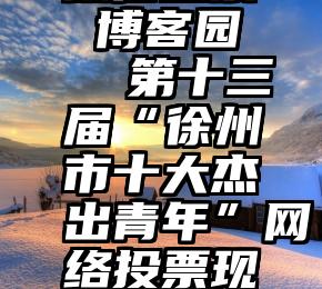 微信投票 博客园   第十三届“徐州市十大杰出青年”网络投票现已启动