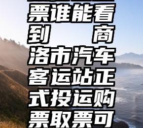 微信圈投票谁能看到   商洛市汽车客运站正式投运购票取票可“自助”