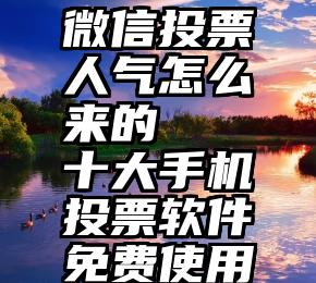 微信投票人气怎么来的   十大手机投票软件免费使用