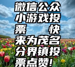 微信公众小游戏投票   快来为茂名分界镇投票点赞!