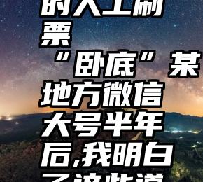 诚信可靠的人工刷票   “卧底”某地方微信大号半年后,我明白了这些道理