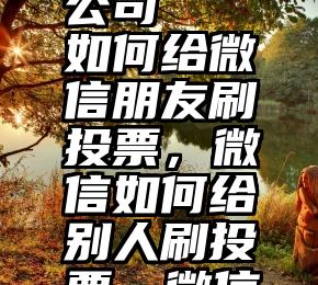 通化网络微信投票公司   如何给微信朋友刷投票，微信如何给别人刷投票，微信怎样刷投...