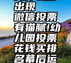 微信投票为什么会出现   微信投票有猫腻!幼儿园投票花钱买排名幕后运营商渔翁得利