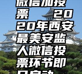 微信加投票   2020年西安最美安监人微信投票环节即日启动