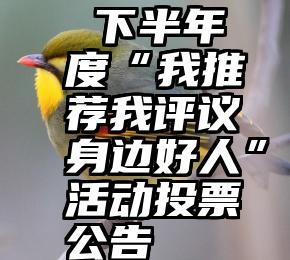  下半年度“我推荐我评议身边好人”活动投票公告