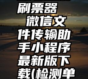 微信投票刷票器   微信文件传输助手小程序最新版下载(检测单删好友)