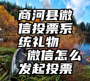 商河县微信投票系统礼物   微信怎么发起投票