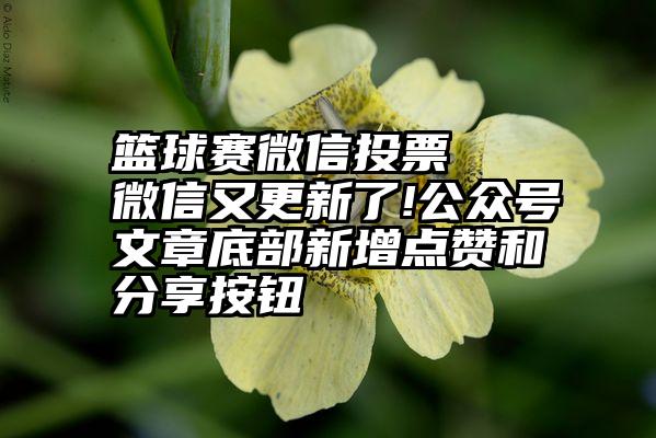 00辐花贴文聊著子公司被辞退：不是贴文聊著，子公司是不是就急了？