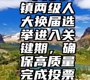  东莞市镇两级人大换届选举进入关键期，确保高质量完成投票选举