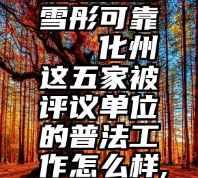 微信投票雪彤可靠   化州这五家被评议单位的普法工作怎么样,由您来评!