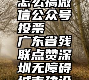 怎么搞微信公众号投票   广东省残联点赞深圳无障碍城市建设