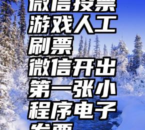 微信投票游戏人工刷票   微信开出第一张小程序电子发票