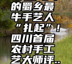  为你心中的蜀乡最牛手艺人“扎起”!四川首届农村手工艺大师评...