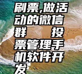 刷票,做活动的微信群   投票管理手机软件开发