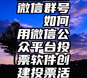 安徽投票微信群号   如何用微信公众平台投票软件创建投票活动