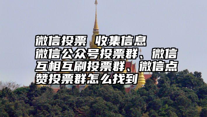 微信投票 收集信息   微信公众号投票群、微信互相互刷投票群、微信点赞投票群怎么找到