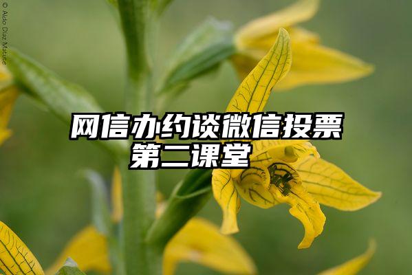 网信办约谈微信投票   第二课堂