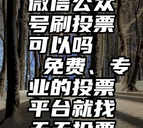 微信公众号刷投票可以吗   免费、专业的投票平台就找天天投票