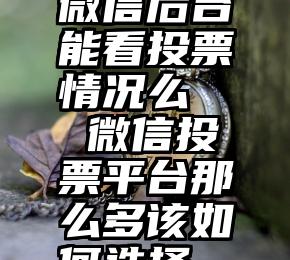 微信后台能看投票情况么   微信投票平台那么多该如何选择