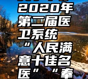 巢湖市人工投票哪里有   关于举办2020年第二届医卫系统“人民满意十佳名医”“奉献泰安十佳名护”评选活动的通知