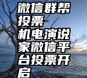 微信群帮投票   机电演说家微信平台投票开启