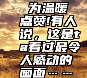  为温暖点赞!有人说，这是ta看过最令人感动的画面……