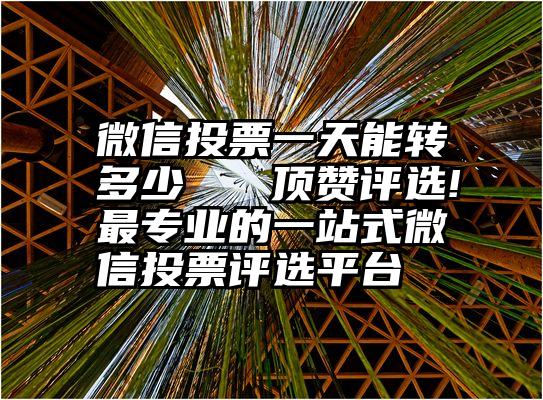 微信投票一天能转多少   顶赞评选!最专业的一站式微信投票评选平台