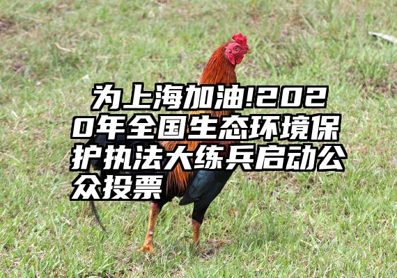  为上海加油!2020年全国生态环境保护执法大练兵启动公众投票→