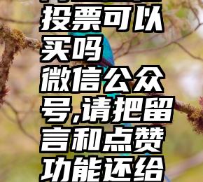 网上微信投票可以买吗   微信公众号,请把留言和点赞功能还给我们