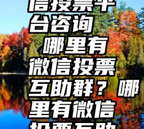 黄山市微信投票平台咨询   哪里有微信投票互助群？哪里有微信投票互助群？