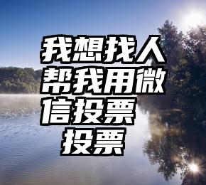 我想找人帮我用微信投票   投票