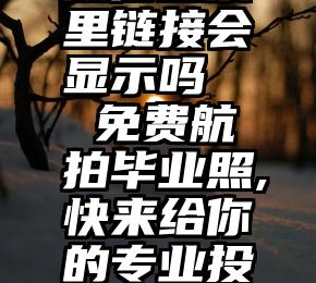 微信投票里链接会显示吗   免费航拍毕业照,快来给你的专业投票吧!