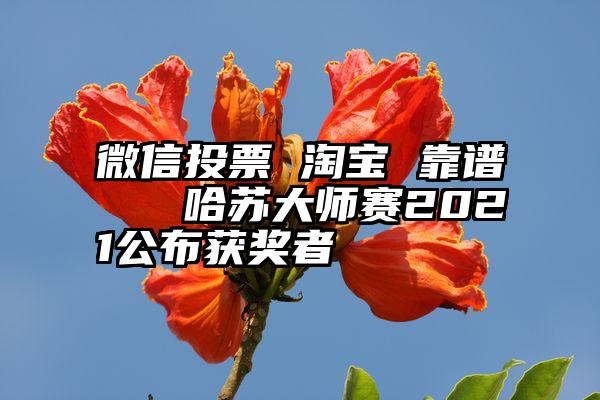 微信投票 淘宝 靠谱   哈苏大师赛2021公布获奖者