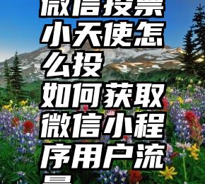 微信投票小天使怎么投   如何获取微信小程序用户流量