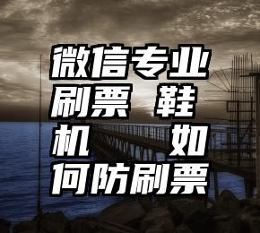 微信专业刷票 鞋机   如何防刷票