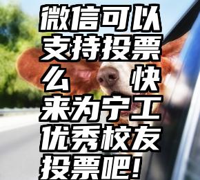 微信可以支持投票么   快来为宁工优秀校友投票吧!