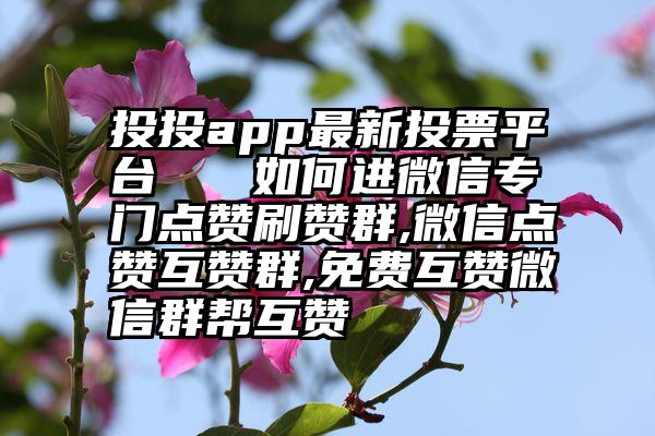 投投app最新投票平台   如何进微信专门点赞刷赞群,微信点赞互赞群,免费互赞微信群帮互赞