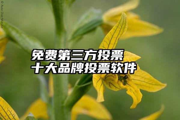 免费第三方投票   十大品牌投票软件