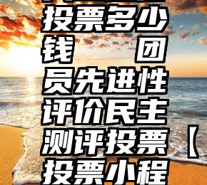 人工微信投票多少钱   团员先进性评价民主测评投票【投票小程序入口】