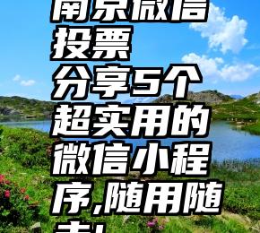 南京微信投票   分享5个超实用的微信小程序,随用随走!