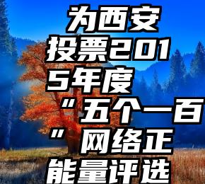  为西安投票2015年度“五个一百”网络正能量评选