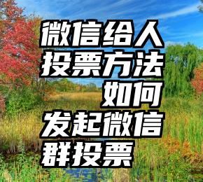 微信给人投票方法   如何发起微信群投票