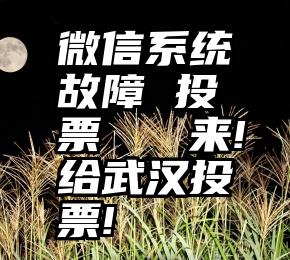 微信系统故障 投票   来!给武汉投票!