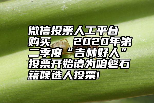 微信投票人工平台 购买   2020年第二季度“吉林好人”投票开始请为咱磐石籍候选人投票!