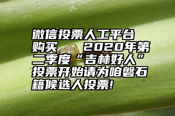 微信投票人工平台 购买   2020年第二季度“吉林好人”投票开始请为咱磐石籍候选人投票!