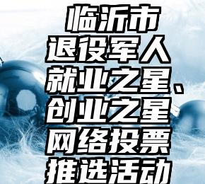  临沂市退役军人就业之星、创业之星网络投票推选活动