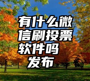 有什么微信刷投票软件吗   发布