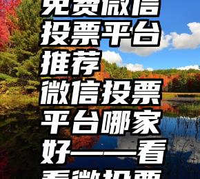 免费微信投票平台推荐   微信投票平台哪家好——看看微投票